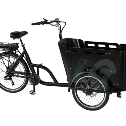 250 Watt 3 Wheel Electric Cargo Bike Mid Motor Electric Tricycles 3 Wheel electric cargo bike for Family
