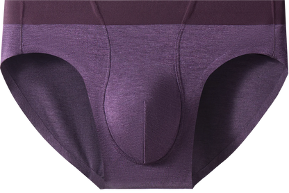 4pcs 2026 New Underwear Man Briefs Bamboo Fiber Quick Dry Summer Men Panties Seamless Comfortable Sexy Male Underwear Panties