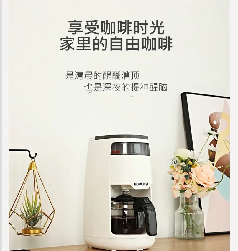 220V HOMEZEST German Coffee Maker Automatic Drip Coffee Machine Mini American Brewer for Home Tea WAQ