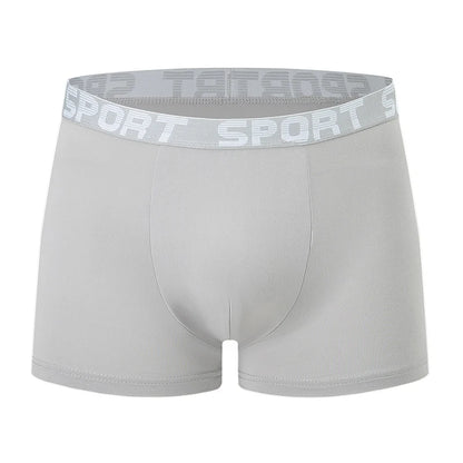 10 Piece Set Of Men's Casual And Comfortable Underwear Simple And Fashionable Boxer Shorts  Youth Cycling And Sports Base Short