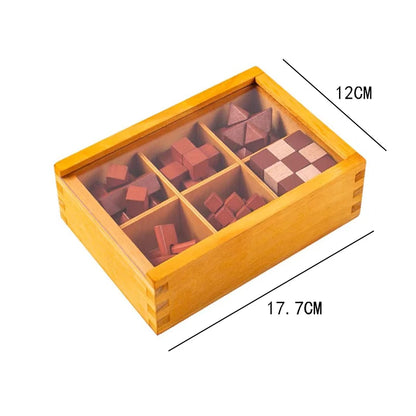 Boutique IQ Puzzle Brain Fitness Games Teaser Puzzles for Adults and Kid Mind Educationl Toys Surprise Gifts Creative Idea