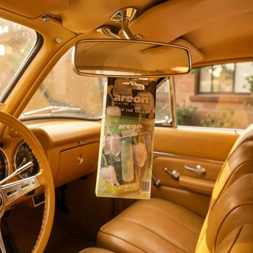 Premium Gel Based Car Fragrance Diffuser Offering Strong and Persistent Scent for Car Cabins