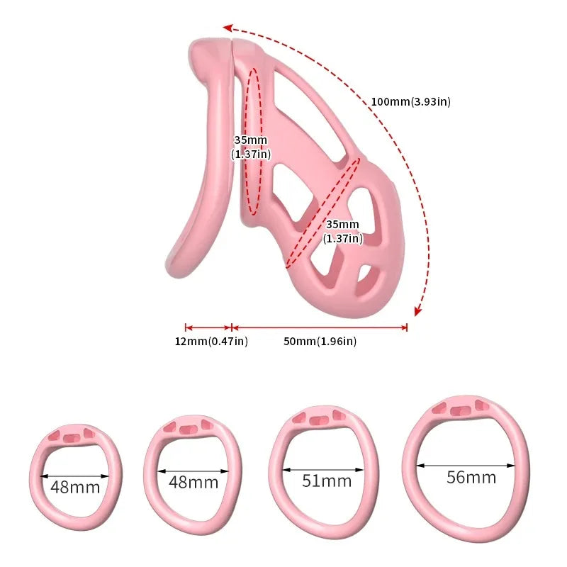 Male Chastity Cage with 4 Size Rings Positive/Negative Chastity Device Sissy Cb Lock Penis Bondage SM Chastity Lock Sex Toys Men