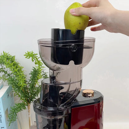 Household Slow Juicer Large Caliber Juice Extractor Pulp Separation Machine with Juice Cup