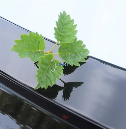 For BYD Seal EV 2022 + Car Styling Fixed Wind Pressure Tail Wing Cover Rear Trunk Roof Spoiler Sport Surround Plate Accessories