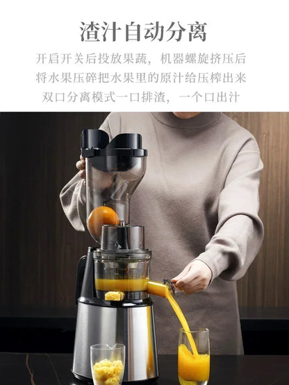 220V German Syrup Juicer Commercial High Capacity Juice Residue Separation Multifunctional Fried Fruit Stainless Steel AD