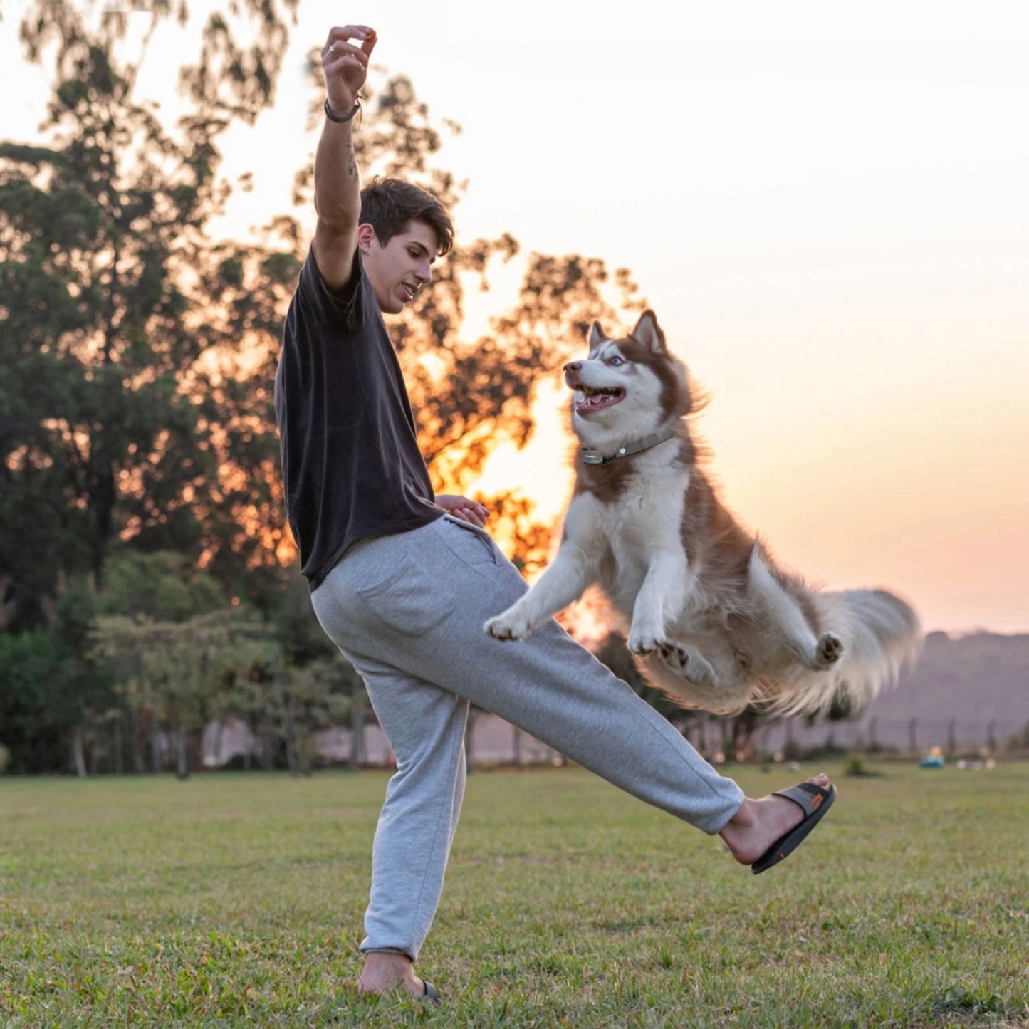 Remote Control Waterproof Pet BehaviorFor 8-150lbs Puppy With Shock Vibration 3300Ft Electric Dog Training Collar for all dogs
