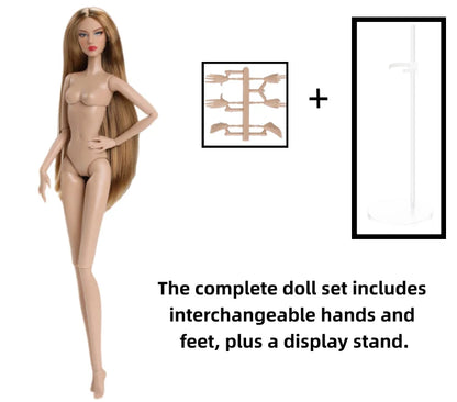 1/6 Scale Supermodel Female Body with 14 Joints Includes Multiple Wig Options And Extra Head for Collectible Figures