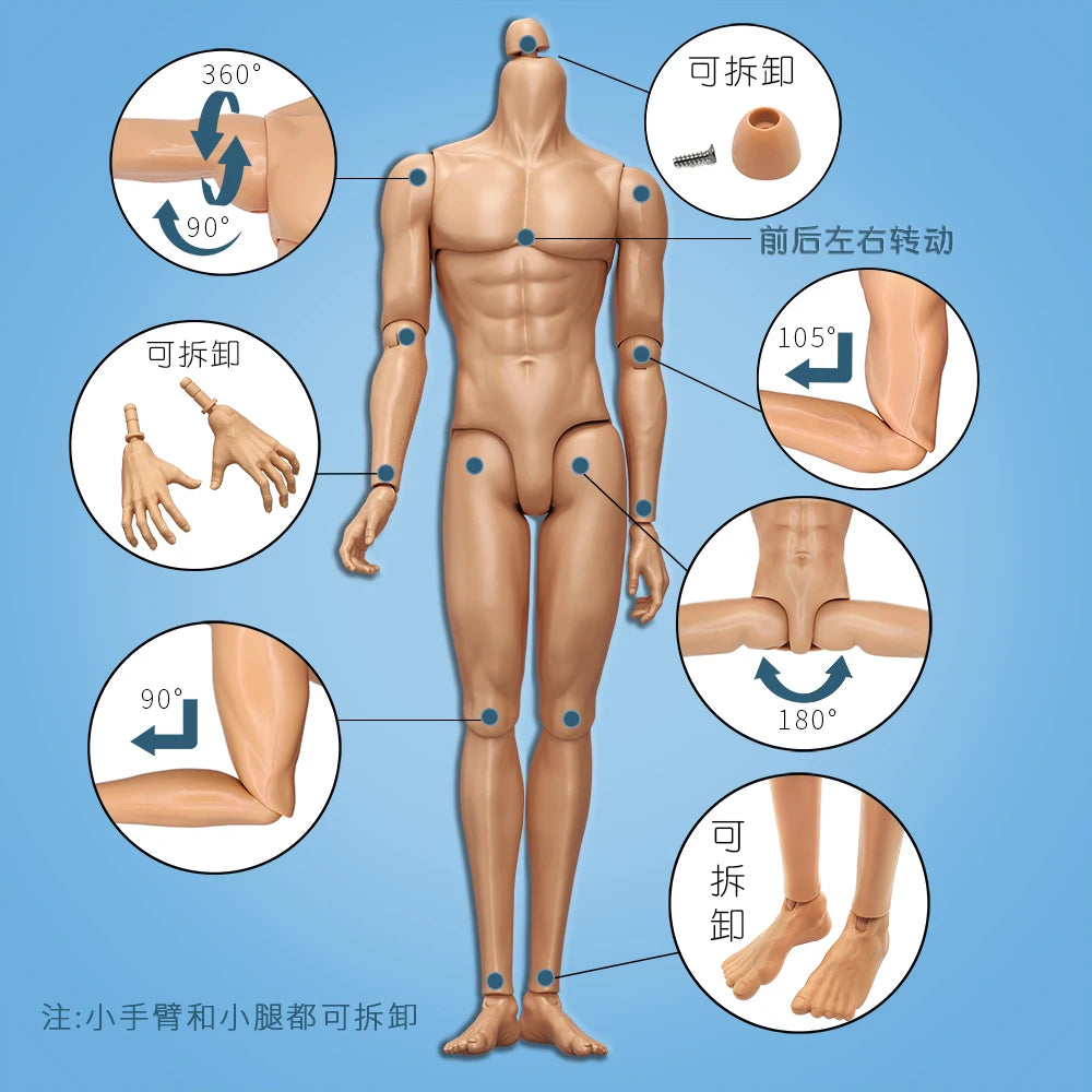 YUNYI Male Doll Body Figure 1/6 Muscle Male Doll Body Toys Multi-Joints Movable Beige Skin Doll Body Collection Doll Toy Parts