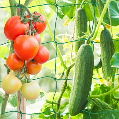 5/1PCS Garden Plant Climbing Net Plant Trellis for Tomato Fruit Vegetables Grapes Cucumber Net Morning Glory Flower Vine Netting