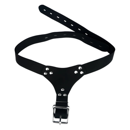 LEZEE Sissy Chastity Belt Harness For Male Chastity Cage Auxiliary Lock Belts Penis Bondage Band Underwear BDSM Sex Toys For Men