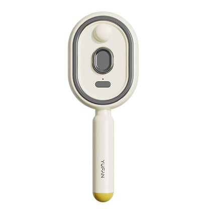 Electric Steam Brush USB-C Charging Wet Electrics Hairbrush Rechargeable Steams Hair Straightener for Both Long & Short Hairs