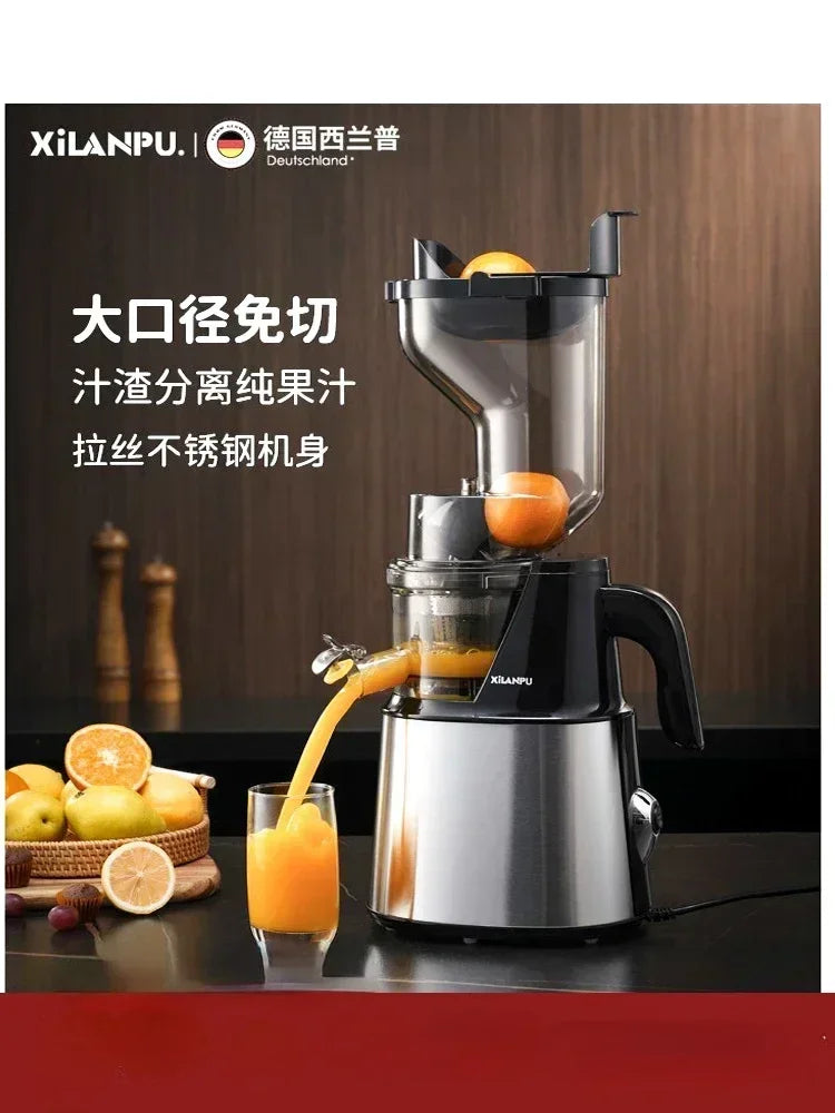 220V German Syrup Juicer Commercial High Capacity Juice Residue Separation Multifunctional Fried Fruit Stainless Steel AD