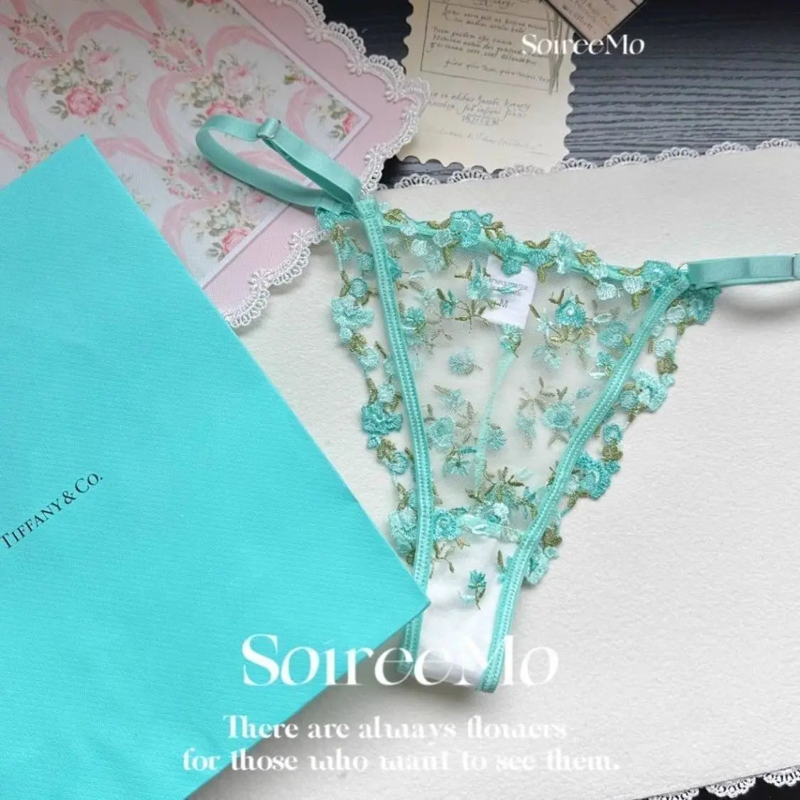 Elegant French Lace Bra Set Women Floral Embroidery Soft Underwire Ultra Thin Large Bust Support Sheer Mesh Lingerie BANERDANNI