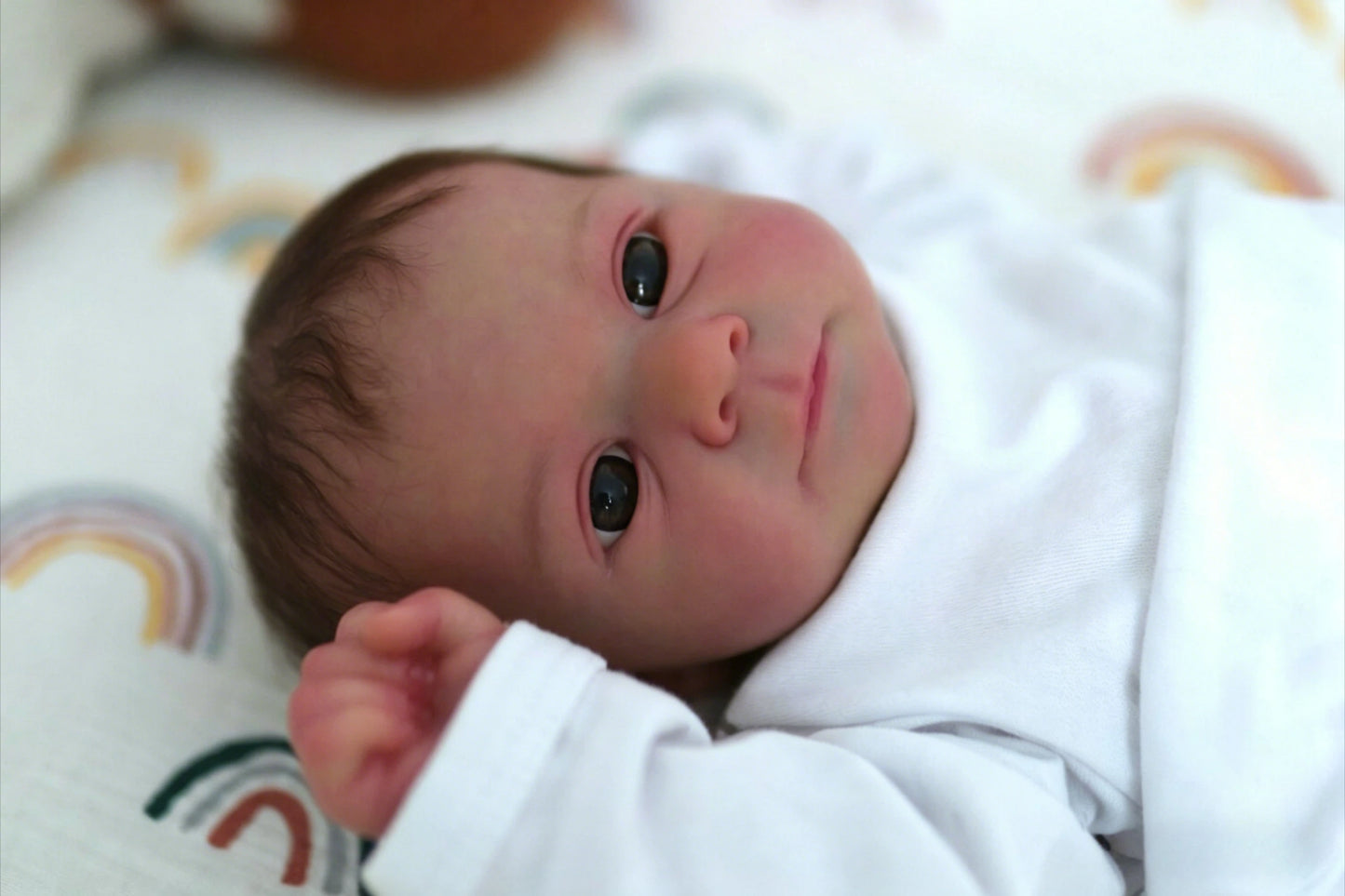48CM  Reborn Felicia Realistic Baby 3D Skin Multiple Layers Painting with Hand Rooted Hair Touch Doll