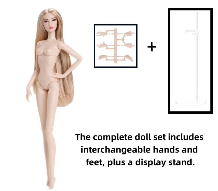 1/6 Scale Supermodel Female Body with 14 Joints Includes Multiple Wig Options And Extra Head for Collectible Figures