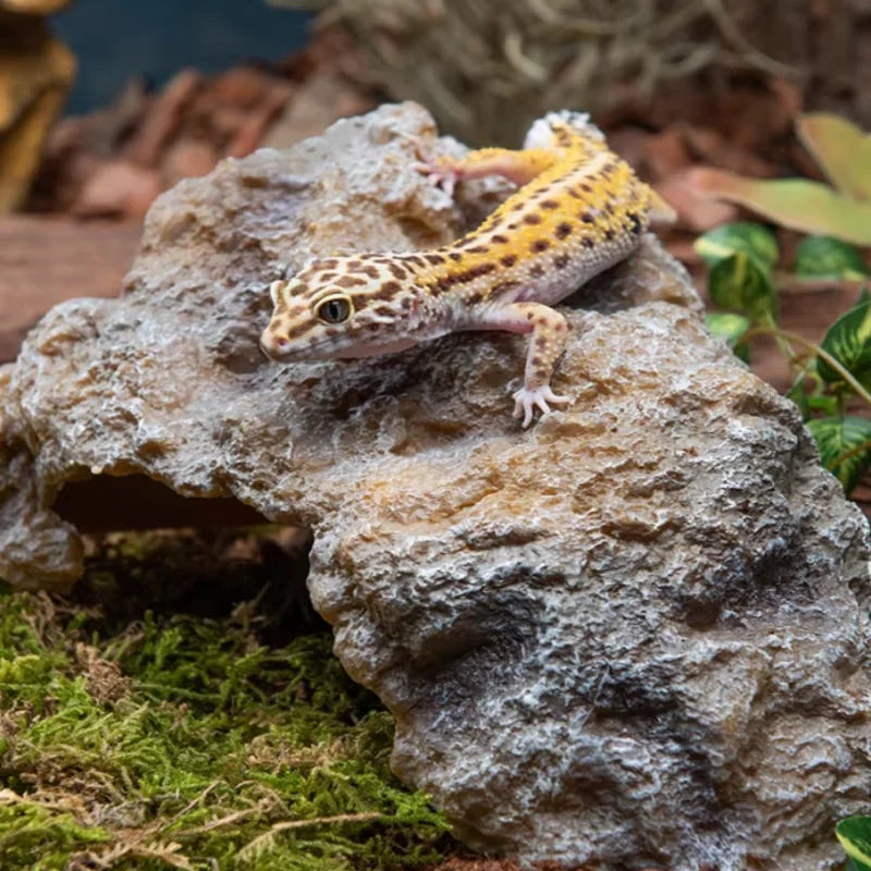 Reptile Rock Hide Cave Resin Turtle Basking Platform Shelter for Lizard hideout Reptile bearded dragon Amphibian Terrarium