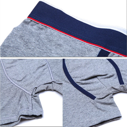 4Pcs Mens Underpants Sexy Boxers Underwear Man Cotton Men's Panties Brand Male Boxer Shorts