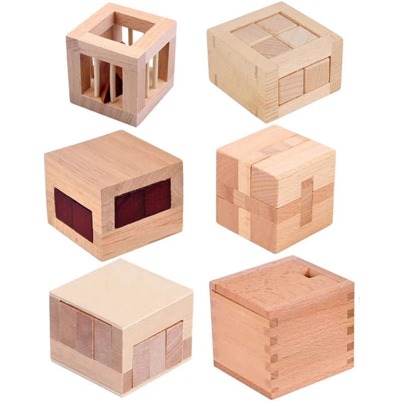 6PCS Set Wooden Brain Teaser Puzzles For Adults and Kids IQ Challenge LuBan Lock Difficult Assembly & Disentanglement Games