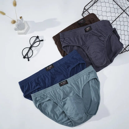 10Pcs/Lot Men's Plus Size 100% Cotton Briefs Loose Breathable Comfortable Mid-Rise Underwear XL-5XL Lingerie Underpants