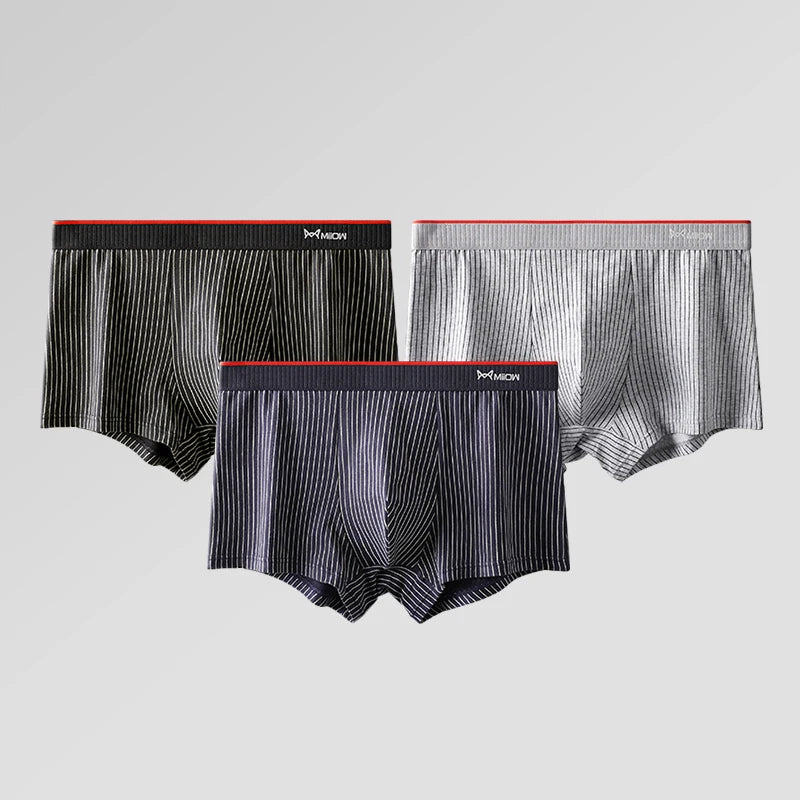 MiiOW 3/4Pcs Striped Panties Boxershorts Men Underwear Organic Cotton Boxer Shorts Antibacterial Seamless Underpants PLUS 5XL