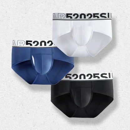 52025 Men's Dual Pouch Briefs – Ultra-Soft Modal, Patented Separation Pouch with Silk Mesh Support and Breathable Comfort